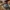 Dark Soya Sauce Image