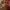 Enchilada sauce image