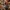 Korean BBQ Sauce Image