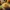 Nacho Cheese Sauce Image