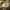 Olive Garden Alfredo Sauce Image