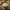 White Sauce Image