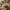 chick fil a sauce image