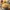 Chicken Sauce Image