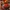 Hot Wing Sauce Image