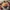 Popeyes Sauce Image