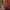 Sloppy Joe Sauce Image